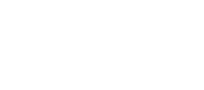 Shriyans Impex Inc.